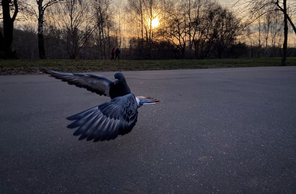 Photograph by Мария Сазонова