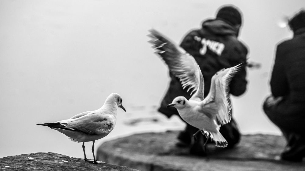 Фотография автора savitri Rawat