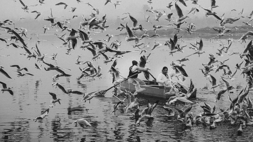 Фотография автора savitri Rawat