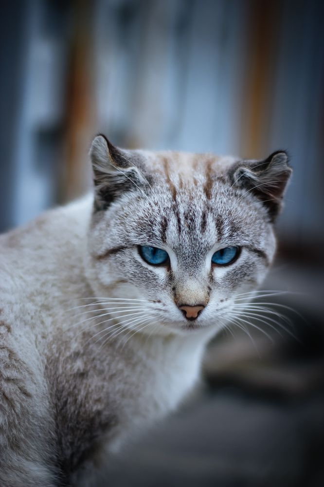 Photograph by Андрей Голуб