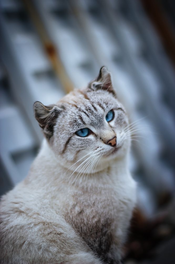 Photograph by Андрей Голуб