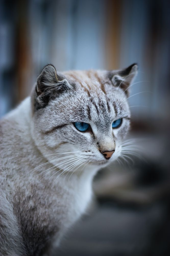 Photograph by Андрей Голуб