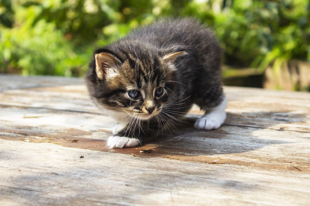 Photograph by  Vladimir