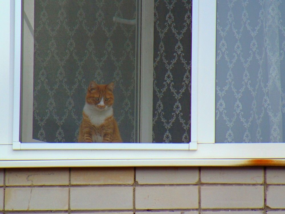 Photograph by Ольга Шевцова