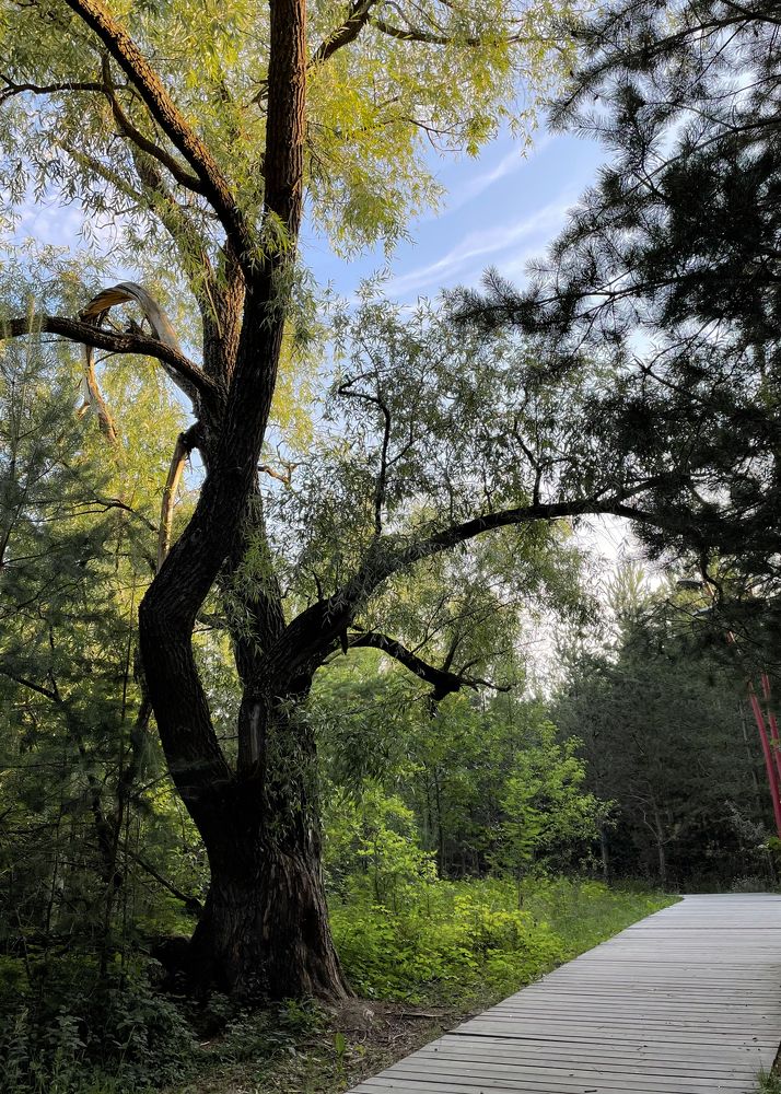 Photograph by Татьяна Шалкова