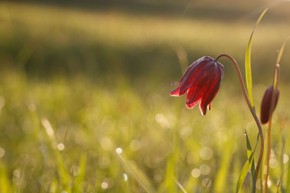 Фотография автора Сыч Римма