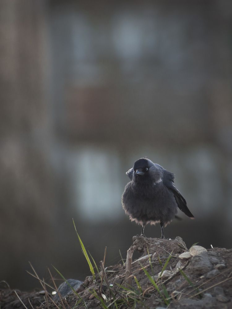 Photograph by Алёна Шматова