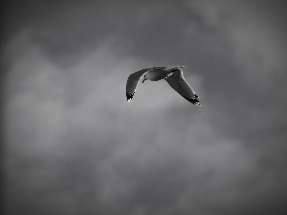 Photograph by Алёна Шматова