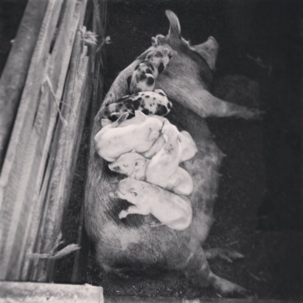 Photograph by Анна