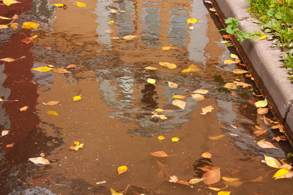 Осенний дождь