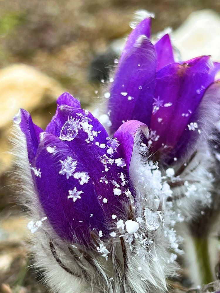 Photograph by Антонина Наговицына