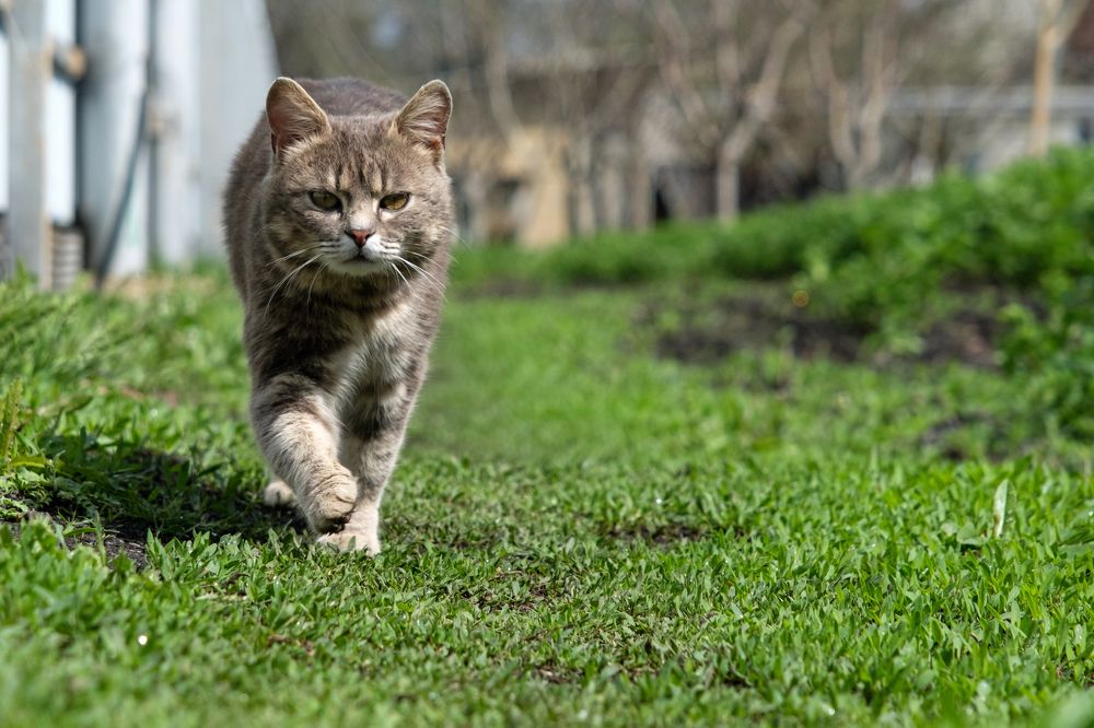 Photograph by Сергей Кравченко