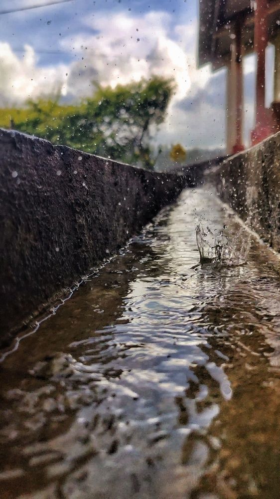The Rain Falls