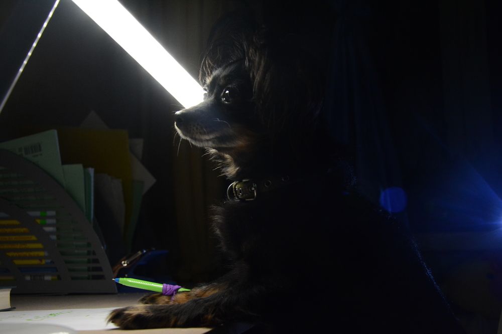 Photograph by Ольга Истомина