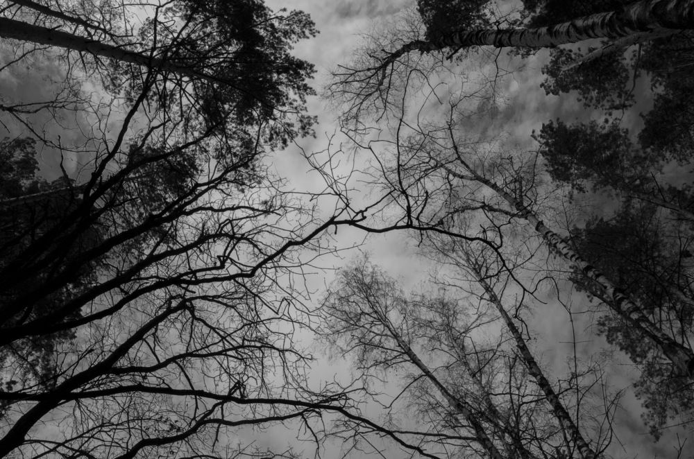 Photograph by Евгения Михайлова