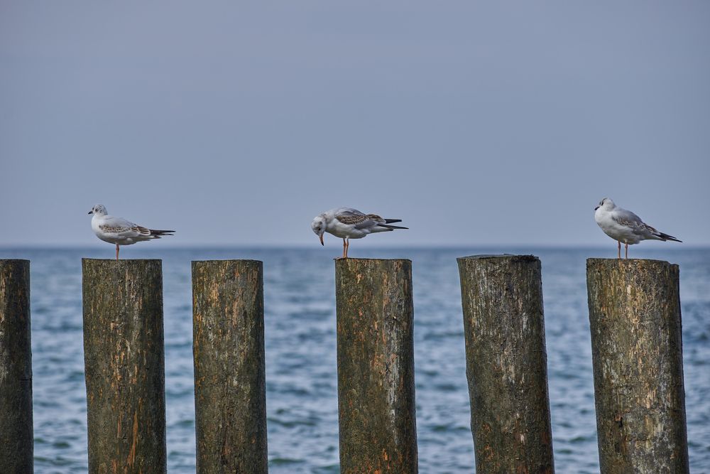 Photograph by Игорь Геннадьевич