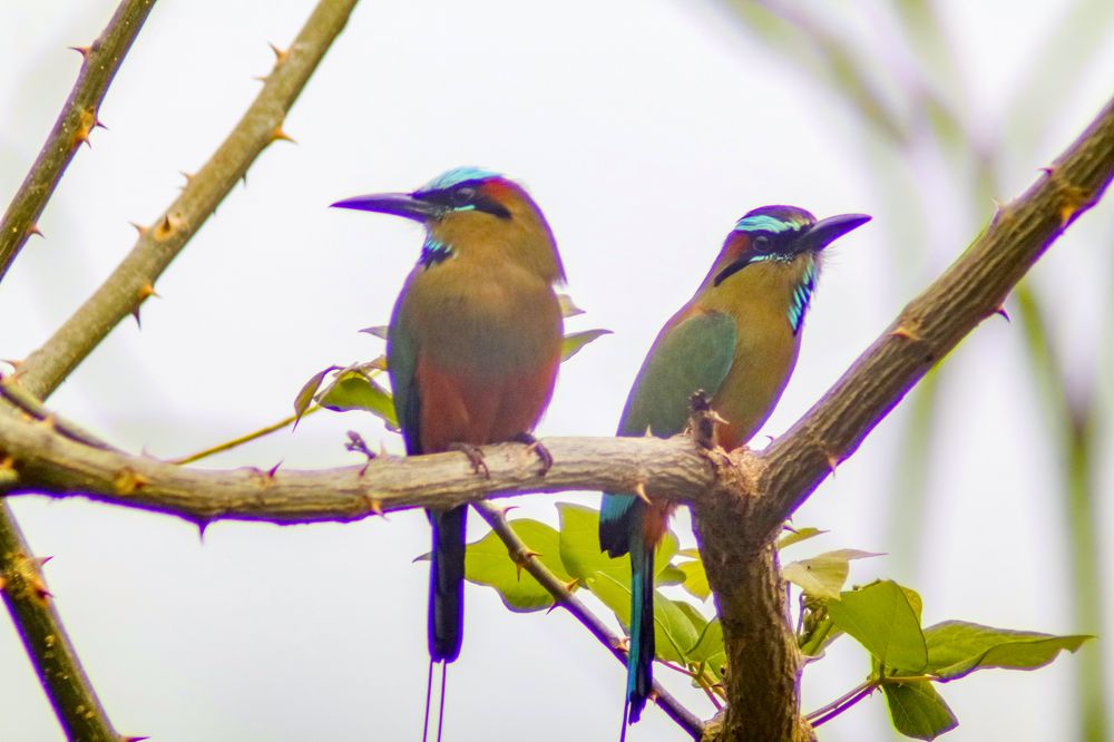 Photograph by Jesus Santamaría