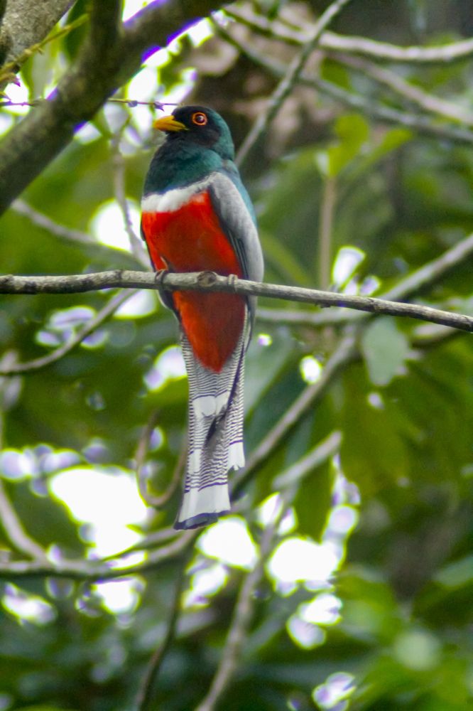 Photograph by Jesus Santamaría