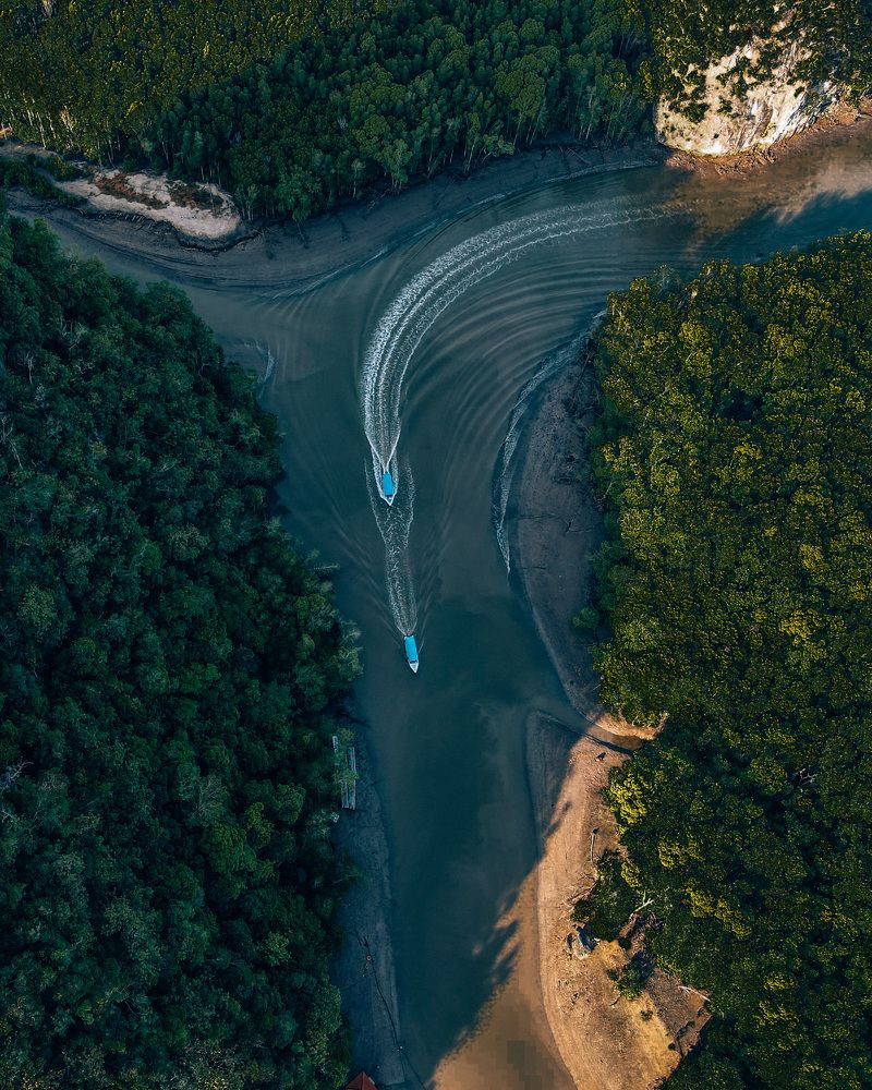 Langkawi Mangrove Tour Kilim