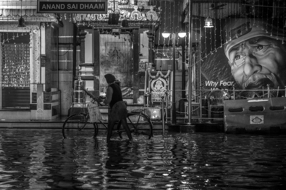 Фотография автора Vijay V