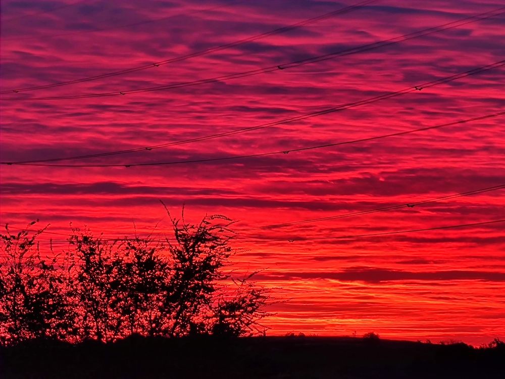 Photograph by Georgi Tomov