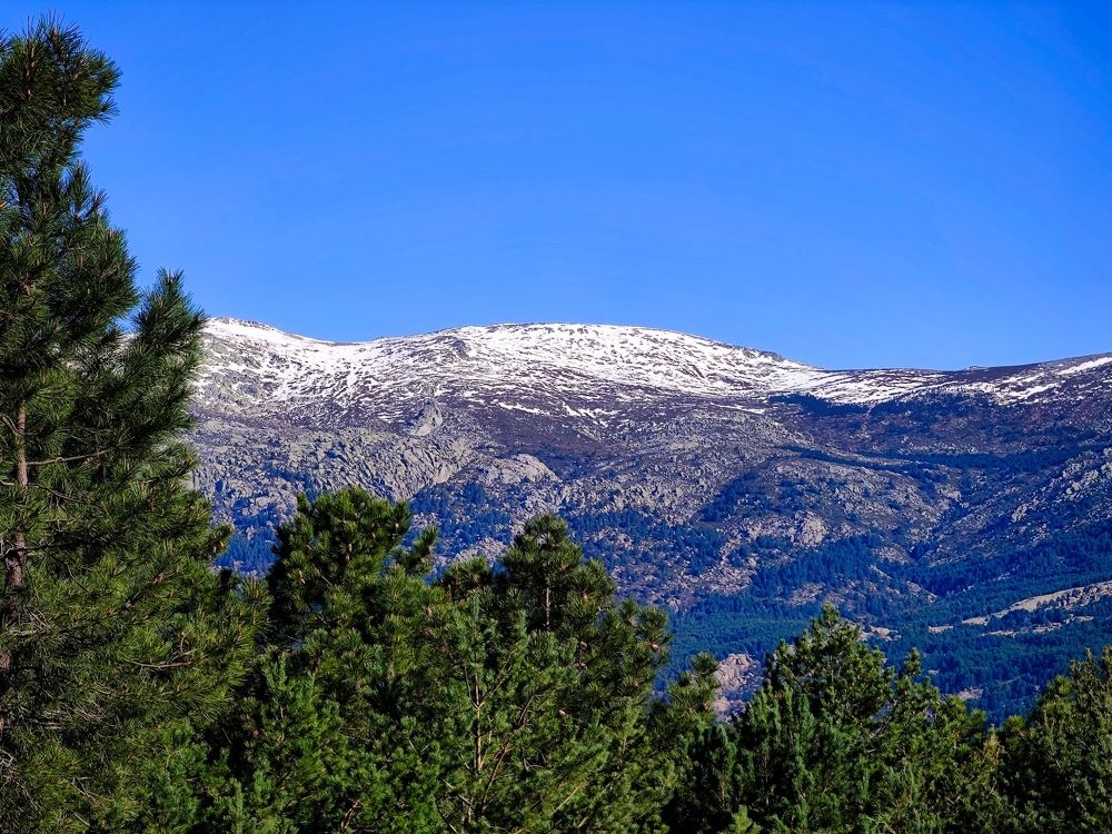 Photograph by Georgi Tomov