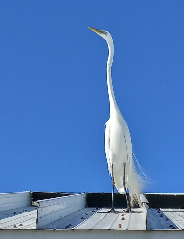 Фотография автора Orlando Silvio Silvera Hernández
