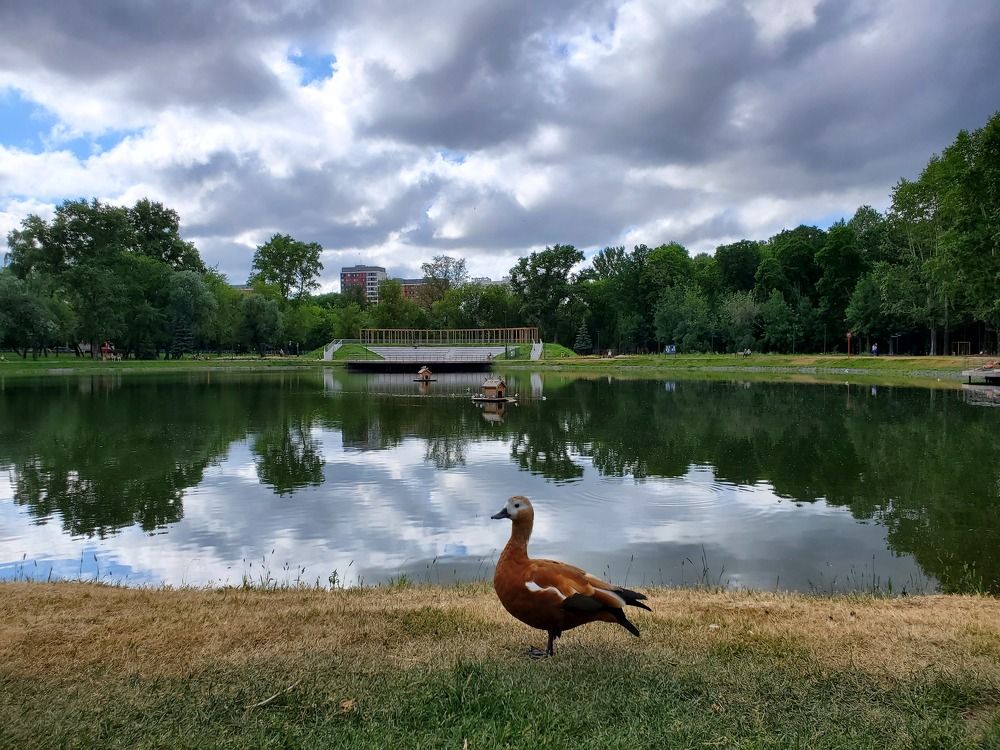 Photograph by Евгения Алексеева