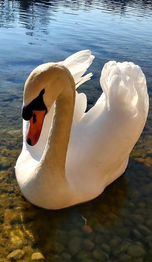 Photograph by Rina Faktor