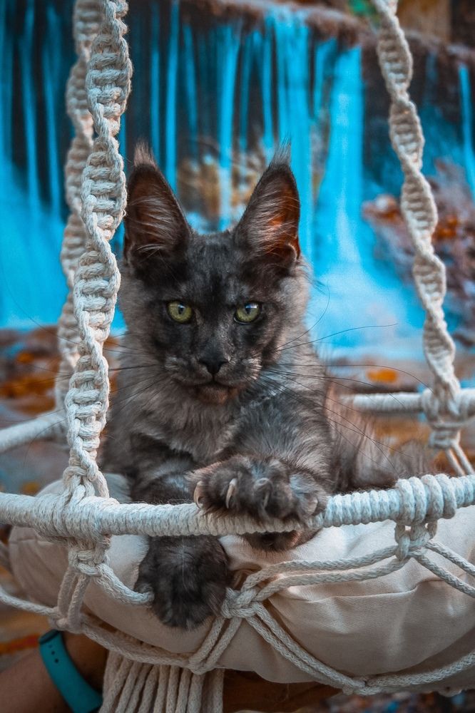 Photograph by Инга Стрижаченко