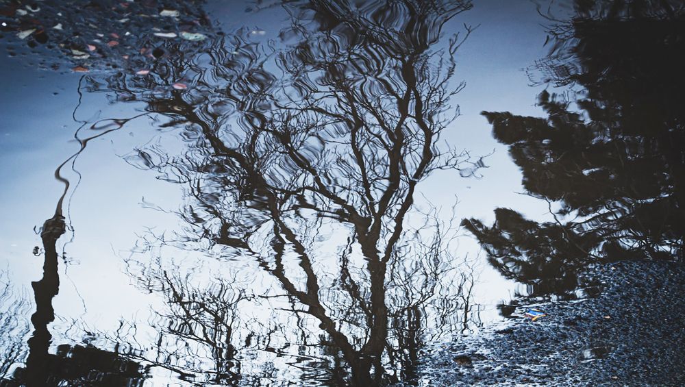 Photograph by Анна