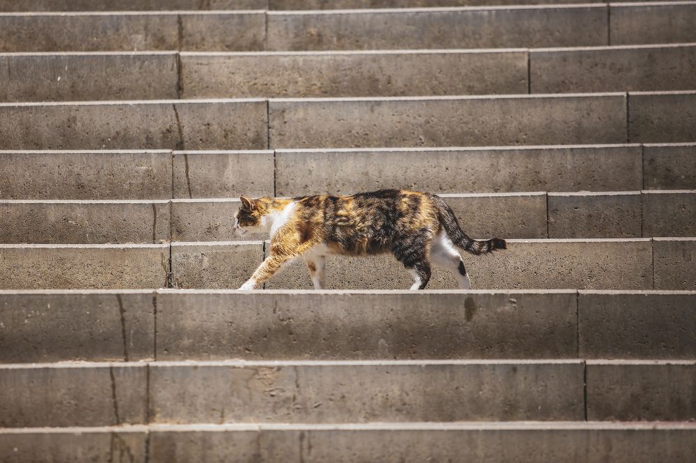 Photograph by Александр Ермаченко