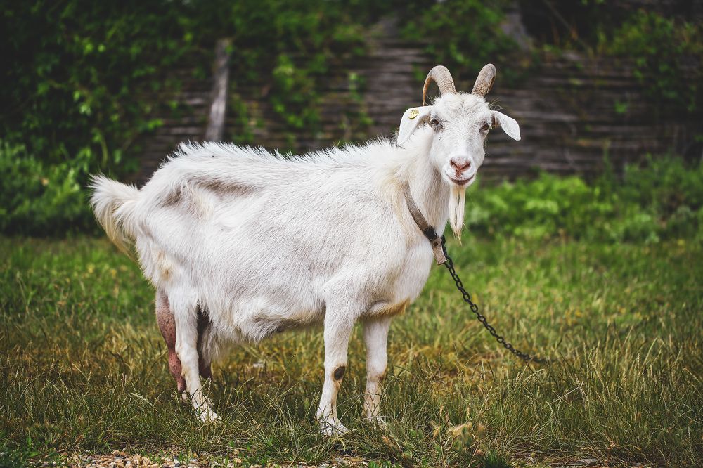 Photograph by Александр Ермаченко