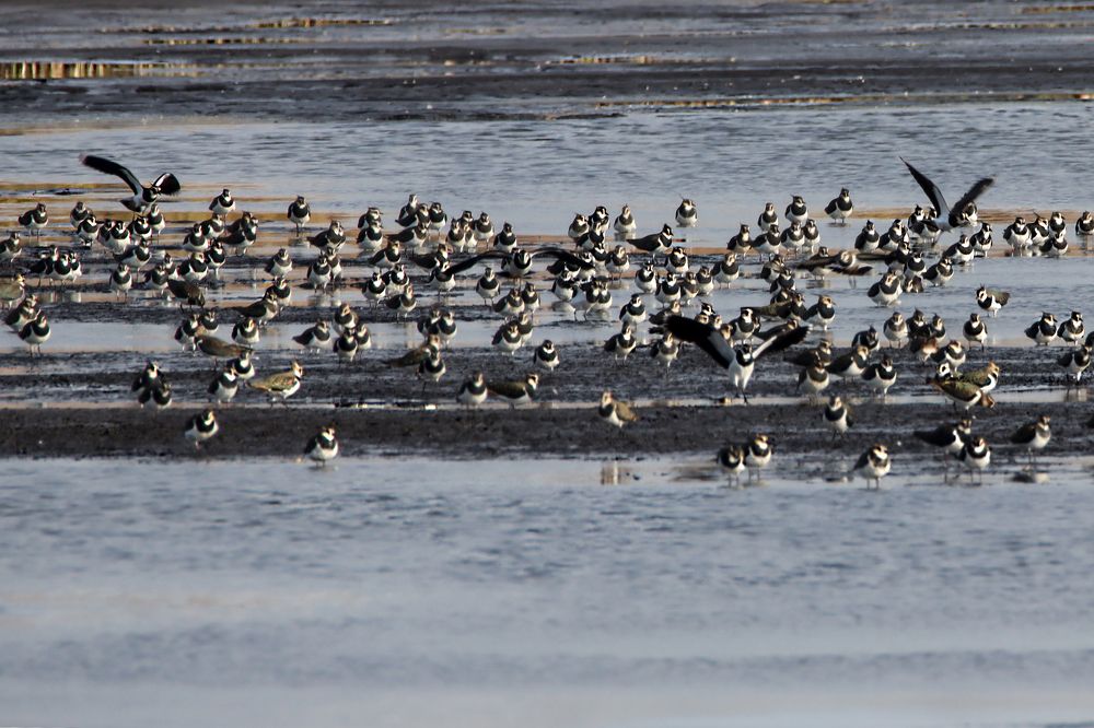 Photograph by Anna Suchcicka