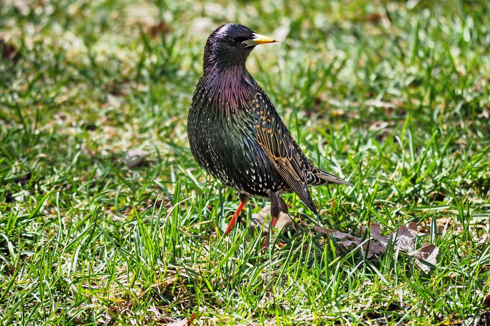 Photograph by Vitalijs Kopa