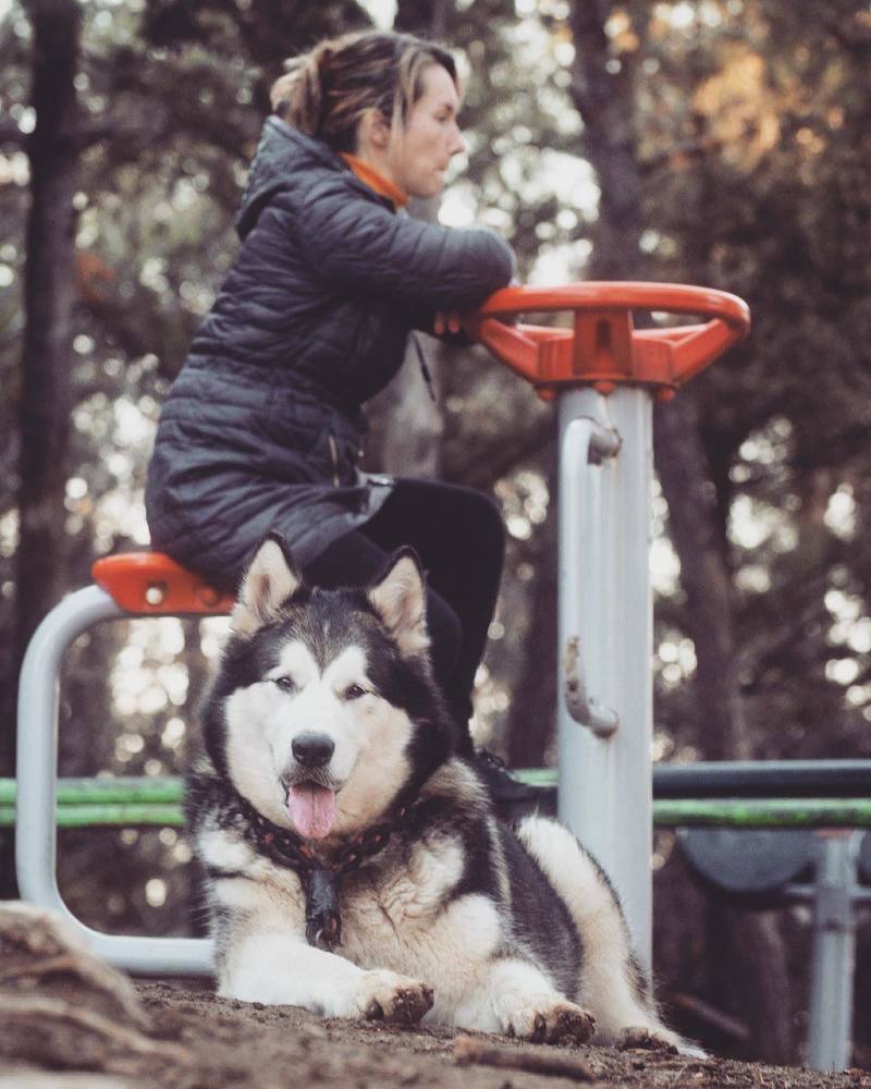 Photograph by Davit Medzmariashvili