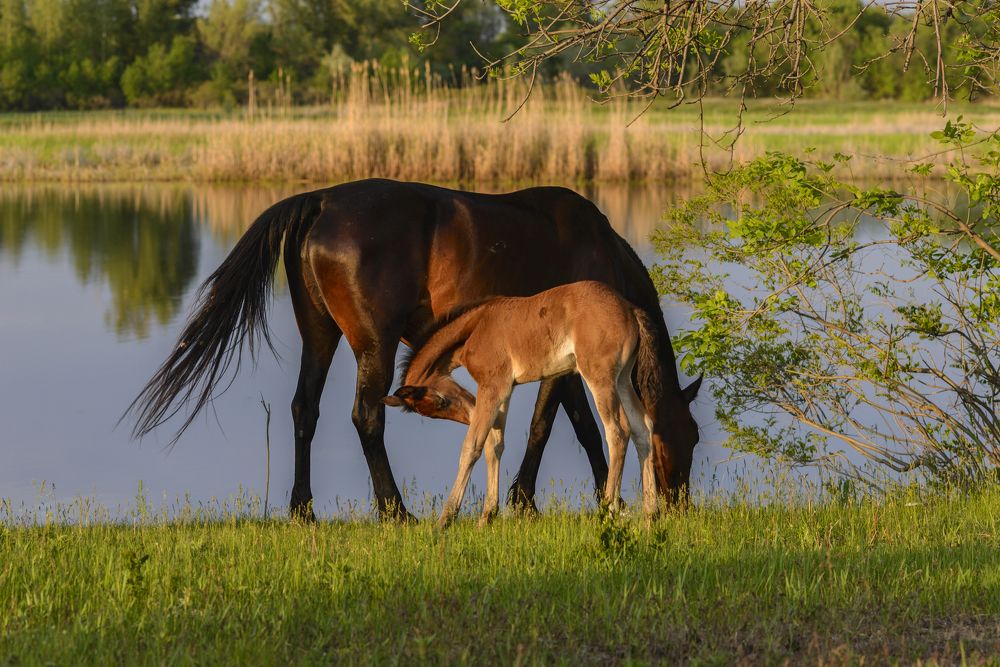 Фотография автора Игорь Баранов