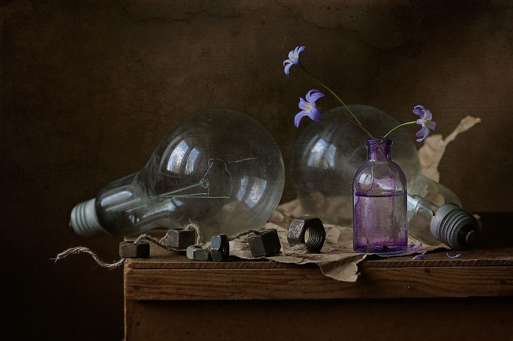 Фотография автора Светлана Дерябина