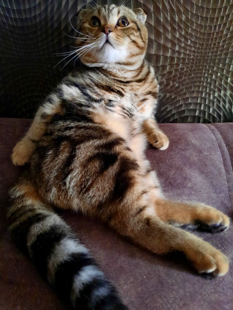 Photograph by Елена Хализова