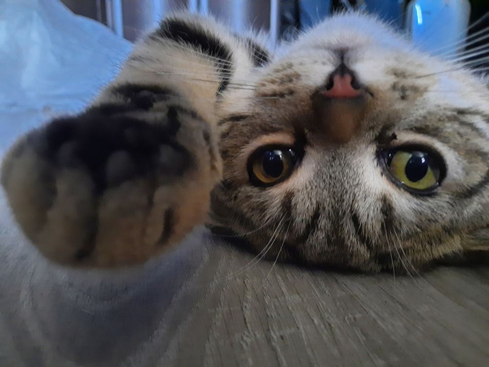 Photograph by Елена Хализова