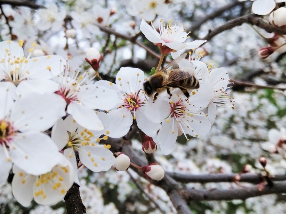 Фотография автора Olena Dyliurman
