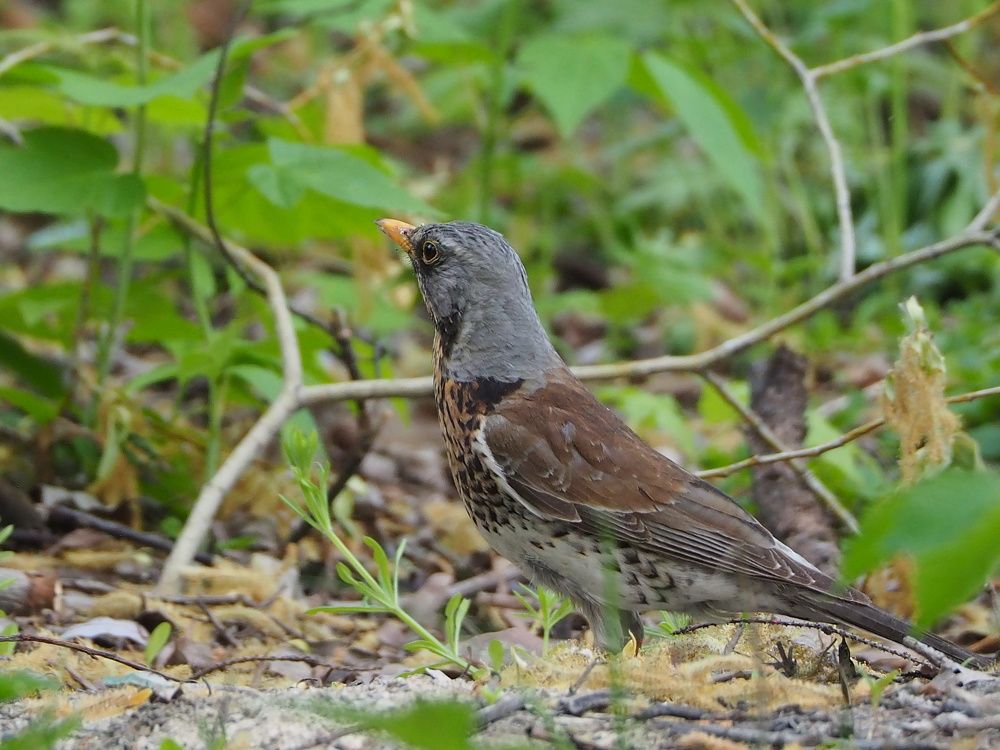 Photograph by Елена Хализова