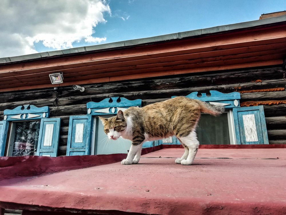 Photograph by Никита Веретко