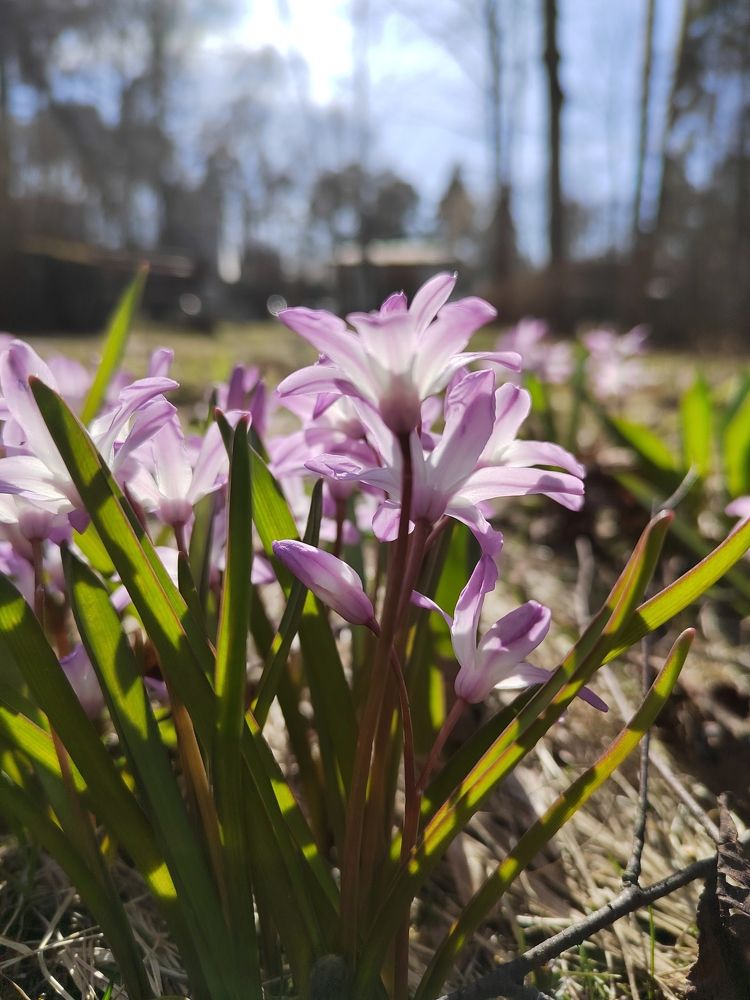 Photograph by Екатерина Слепнева