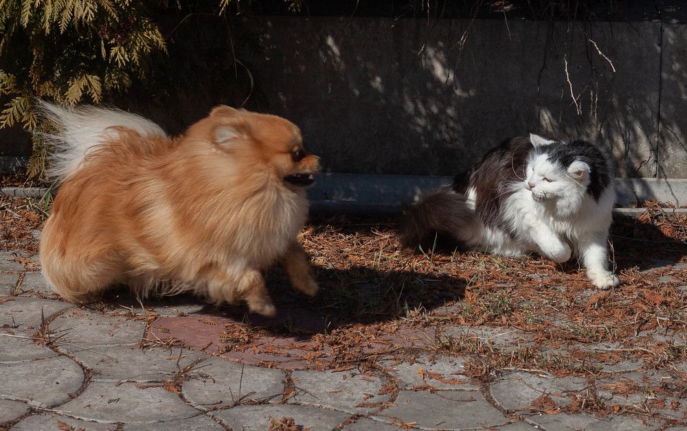 Photograph by Сергей Парантаев