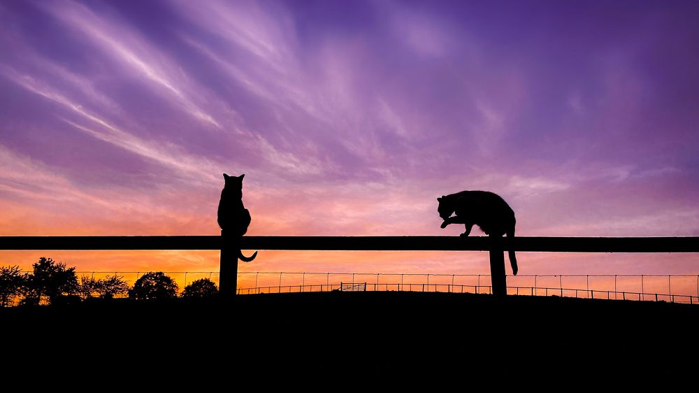 Photograph by LYUDMYLA POKRYSHEN