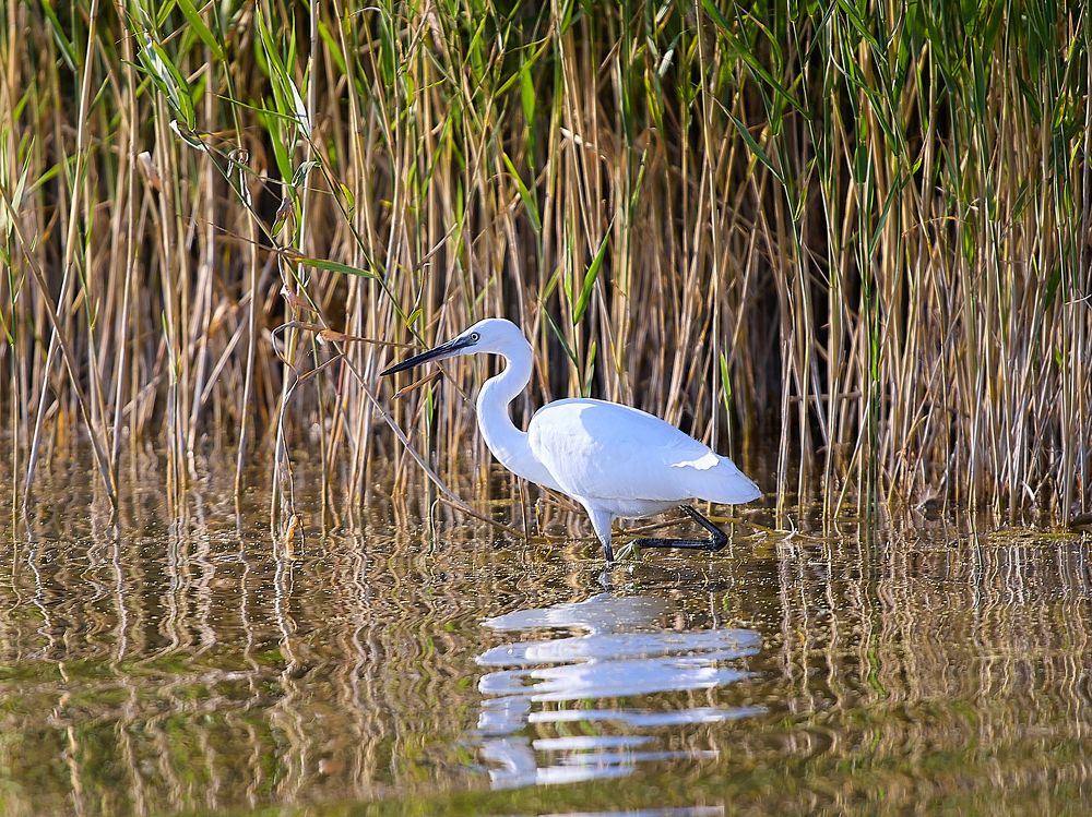 Photograph by Роман Гудзь