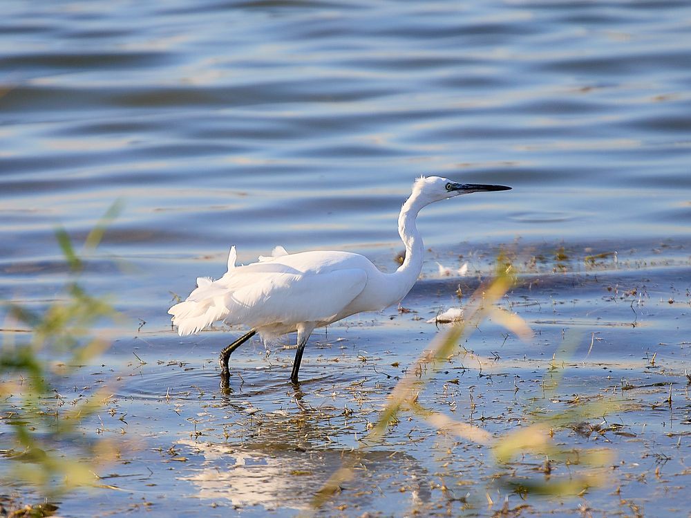 Photograph by Роман Гудзь