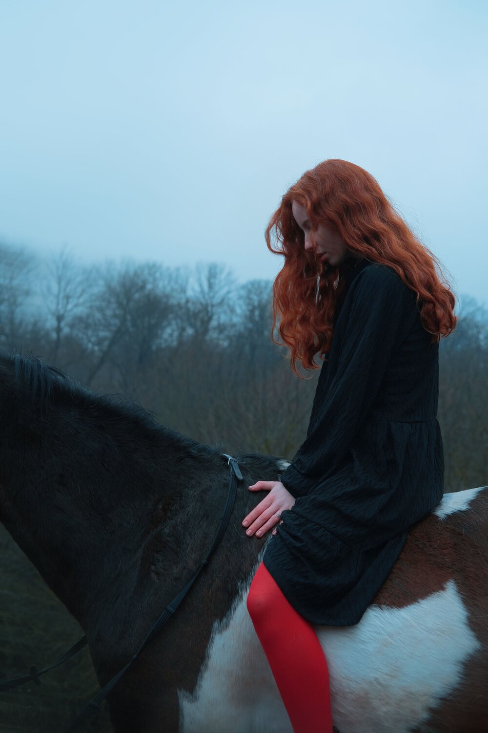Photo #7517968