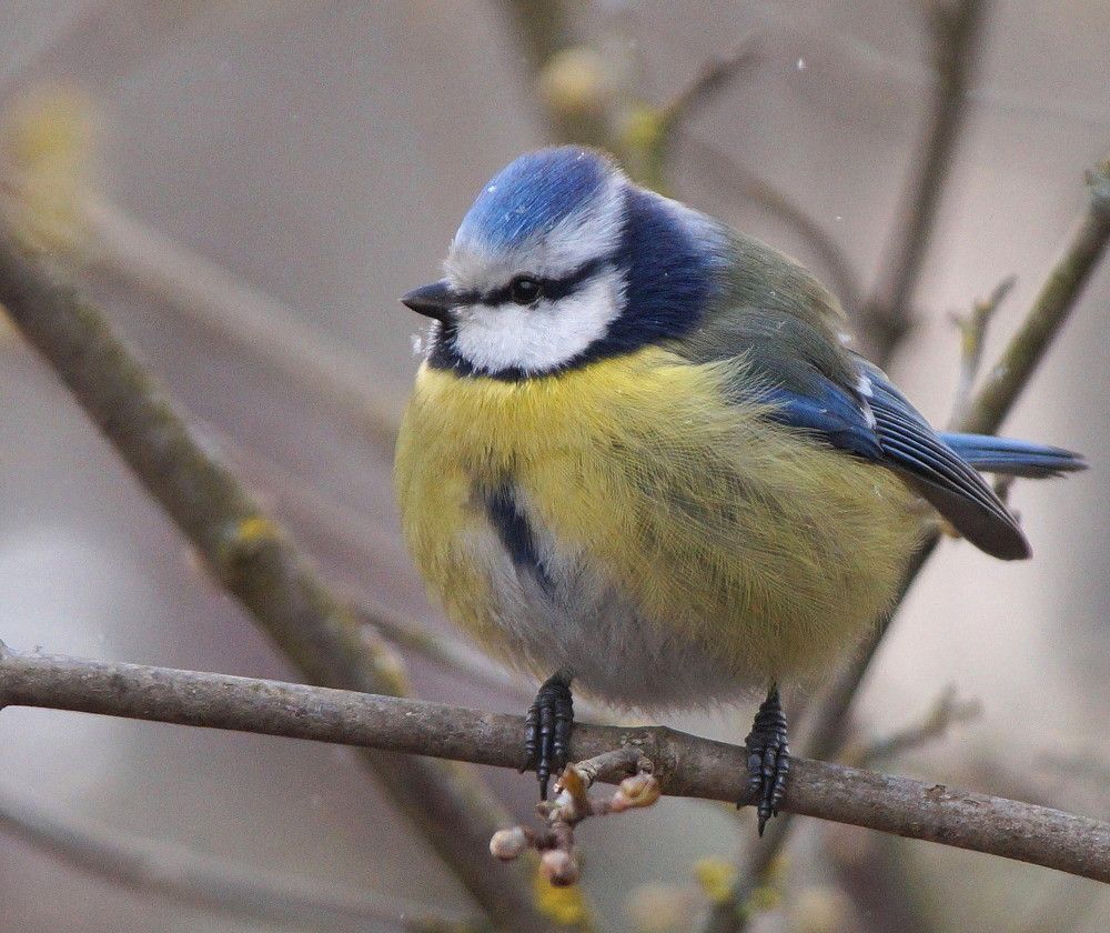 Photograph by Наталья Степаненко